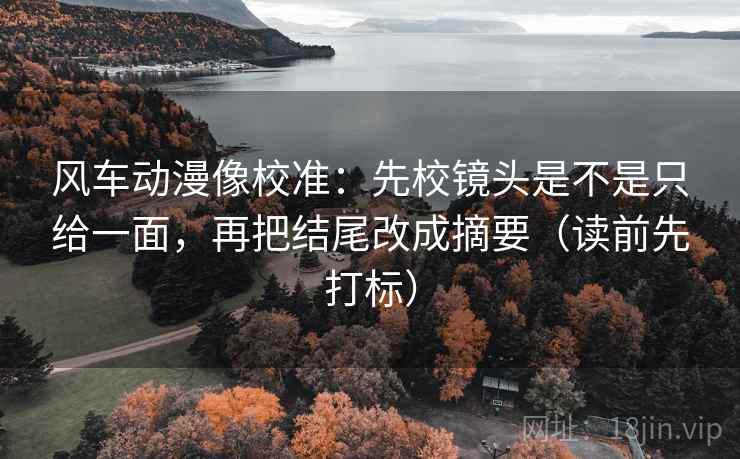 风车动漫像校准：先校镜头是不是只给一面，再把结尾改成摘要（读前先打标）